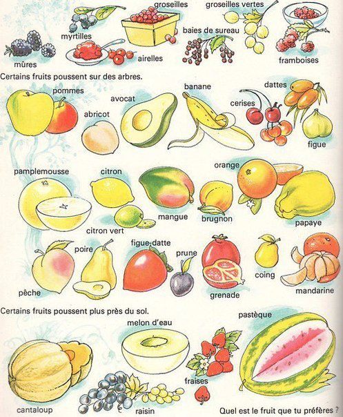 Afbeeldingsresultaat voor vocabulaire fruits